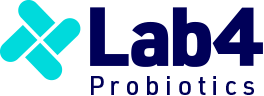 lab4